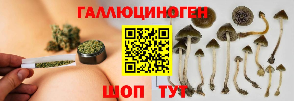 Псилоцибиновые грибы GOLDEN TEACHER  Вход с VPN  закладки  Великий Новгород 